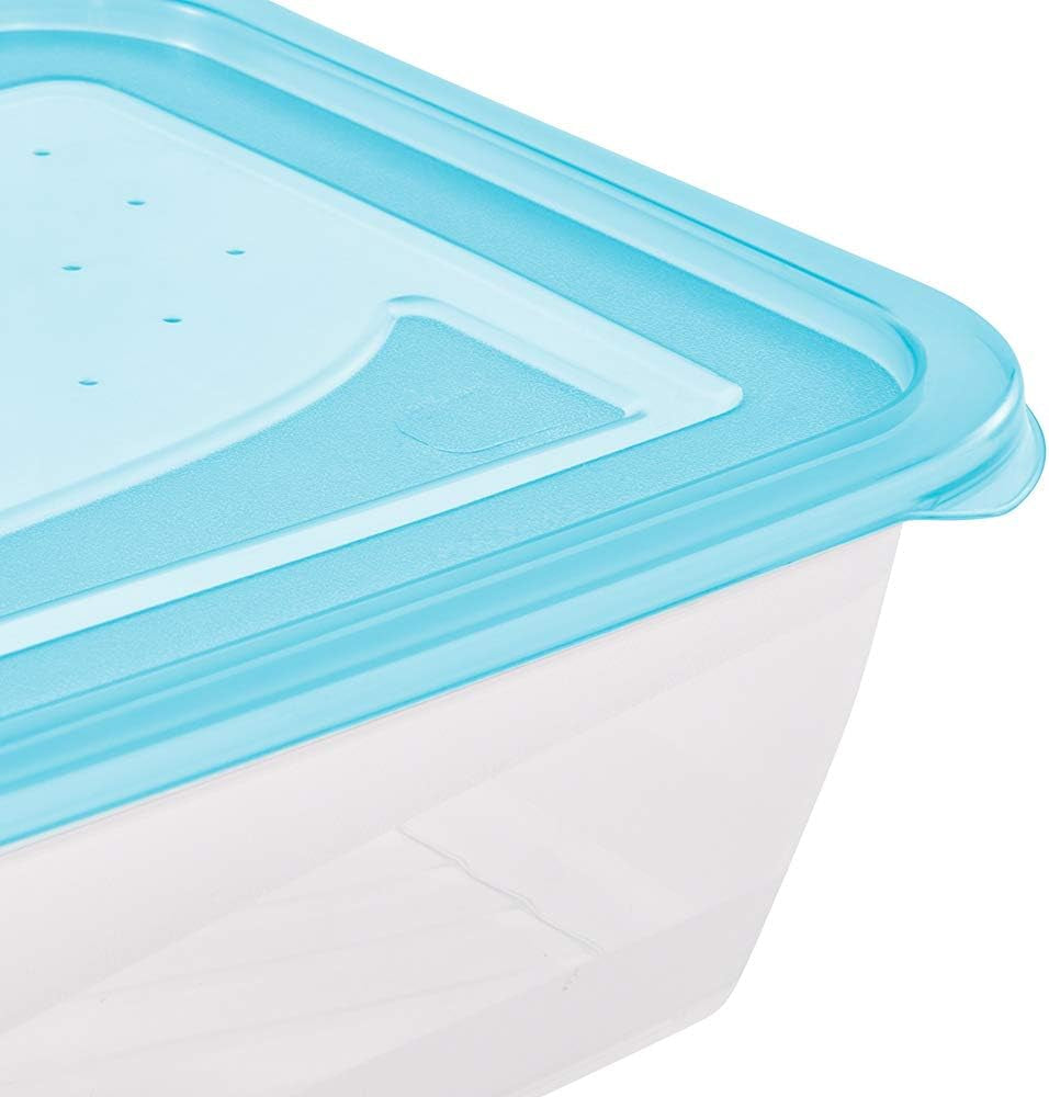 Kekeeper set 3 barattoli per alimenti, 3 x 1,25 l, 20,5 x 15,5 x 6,5 cm, Fredo Fresh, blu trasparente Scatole per alimenti Naty Shop