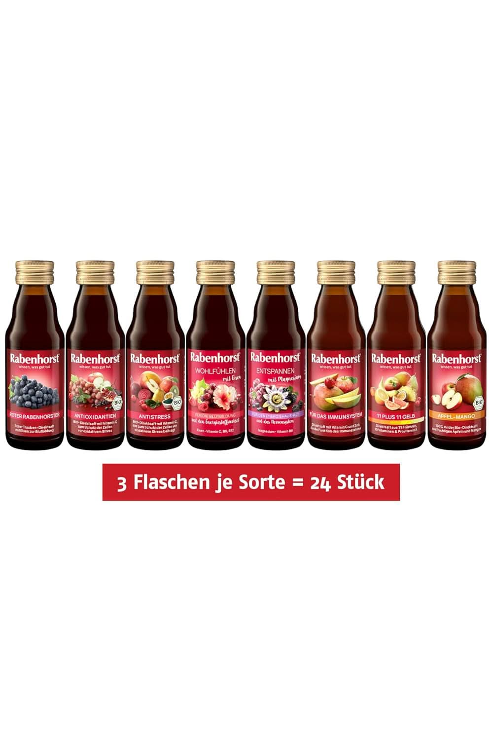 Mini pacchetto degustazione Rabenhorst, 8 varietà o 3 bottiglie (24 X 125 ml) Bevande analcoliche Naty Shop