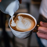 Espresso N°10 di Coffee858 - Miscela di caffè espresso forte e speziata, composta da 70% di chicchi di Arabica del Brasile e 30% di Robusta (1000 g)