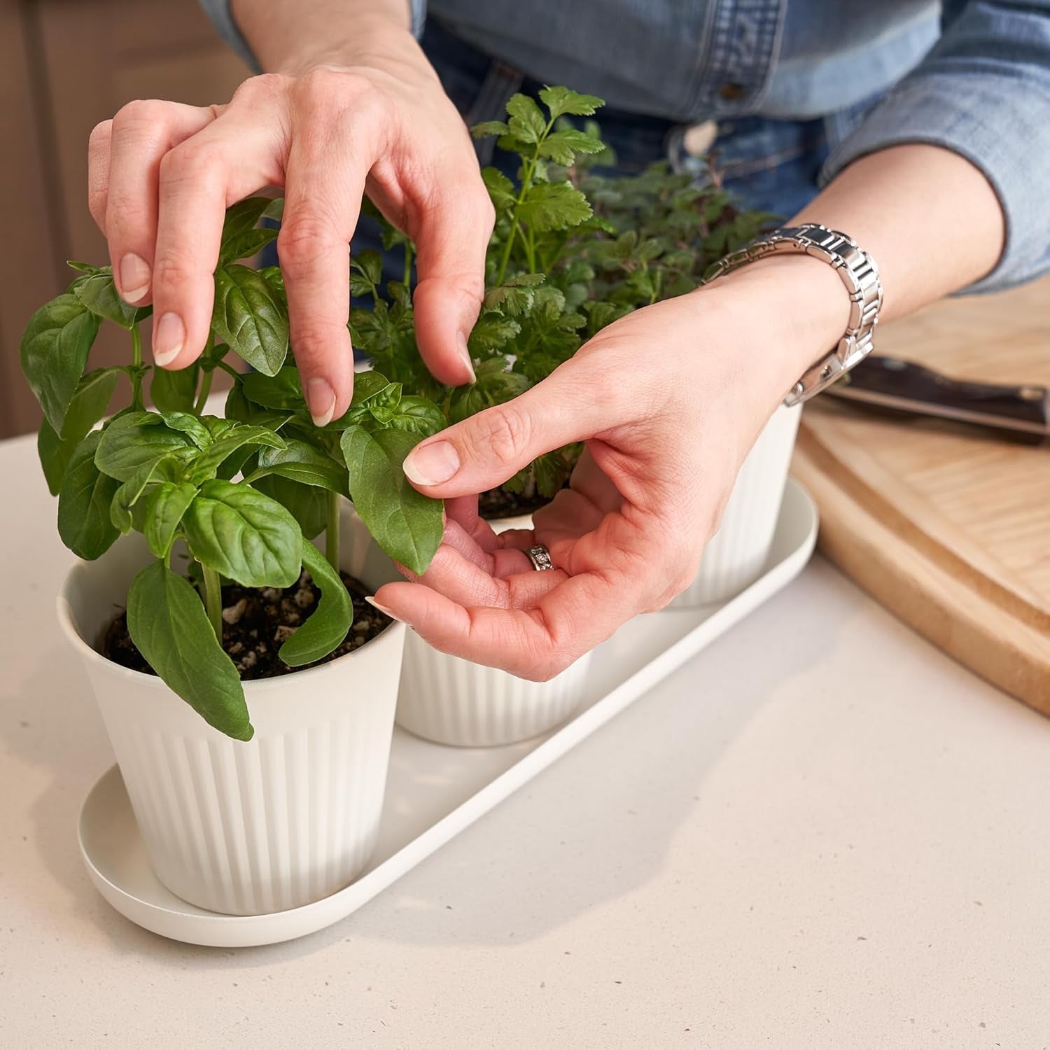 Set di 3 bellissimi vasi da giardino per erbe aromatiche, perfetti per qualsiasi davanzale o bancone della cucina, un moderno set di fioriere decorative da giardino che include vassoio e...