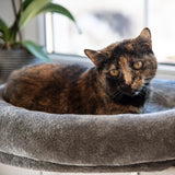 Coperte e mobili, Sedili vicino alla finestra, Animali domestici, Gatti, Letti per gatti, Gatti - Letti, materassi
