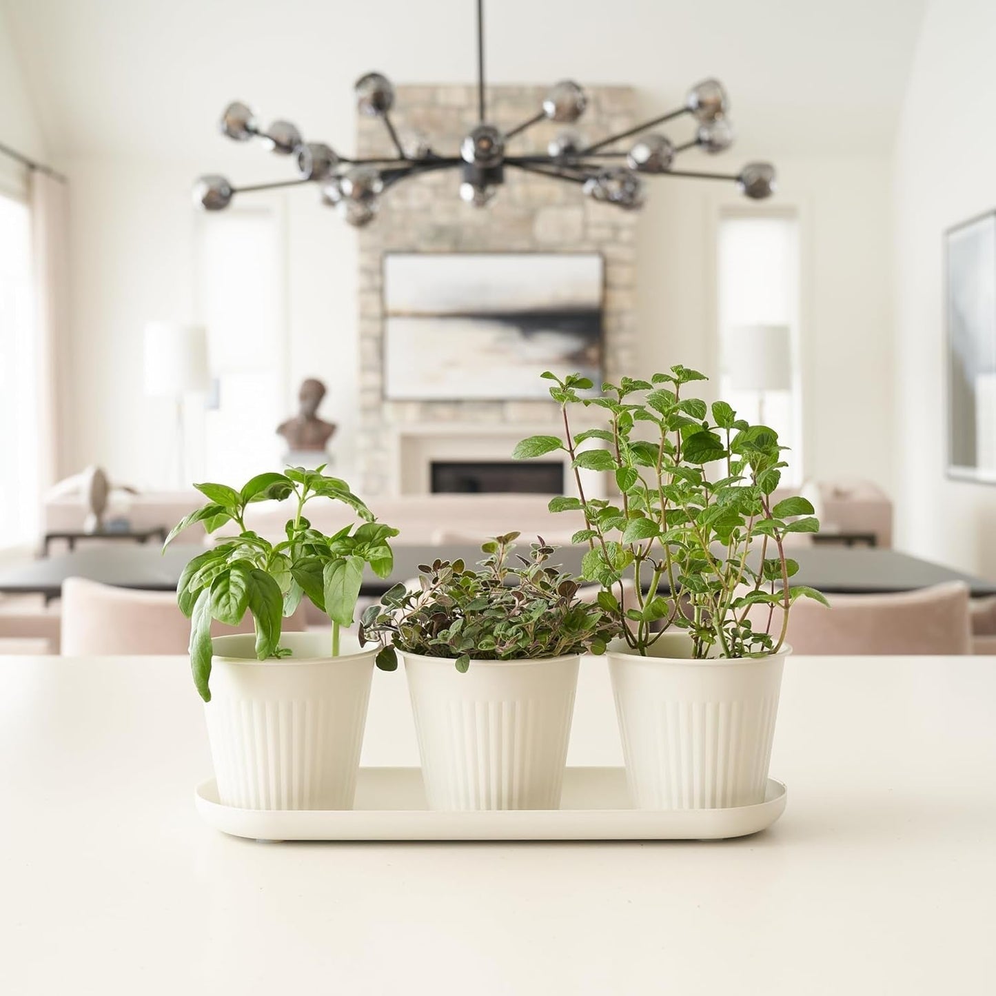 Set di 3 bellissimi vasi da giardino per erbe aromatiche, perfetti per qualsiasi davanzale o bancone della cucina, un moderno set di fioriere decorative da giardino che include vassoio e...