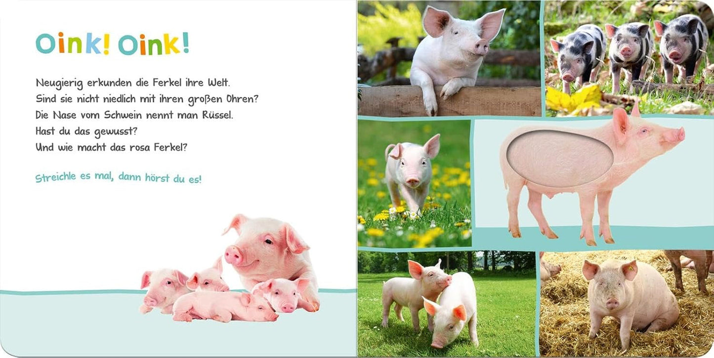 Ascolta, chi potrebbe essere? - Animali da fattoria: accarezzare e ascoltare | Libro illustrato in cartone di alta qualità con 5 suoni ed elementi tattili per bambini a partire dai 18 mesi Baby Toys Naty Shop