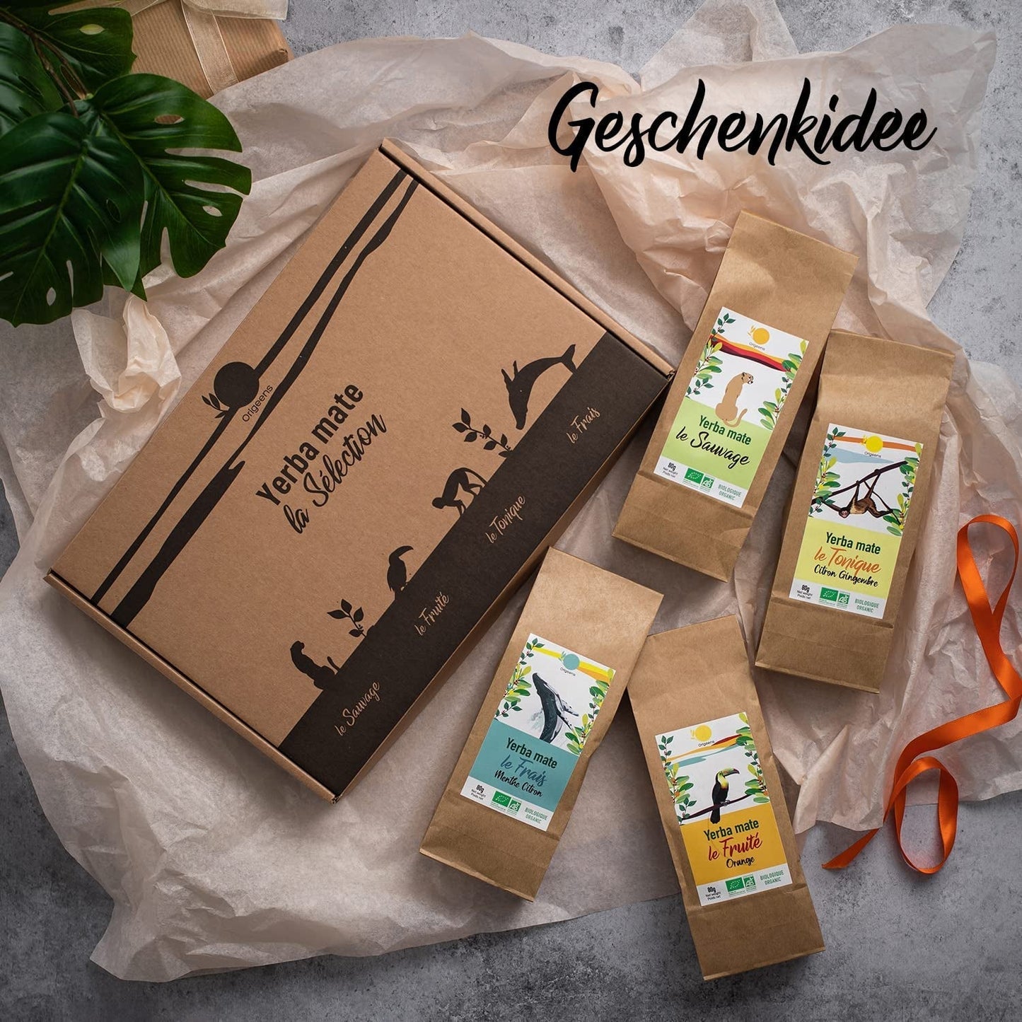 SET REGALO TÈ ORIGEENS BIO MATE X4 I Yerba Mate Bio 4X80G I Set da tè Yerba Mate, idea regalo