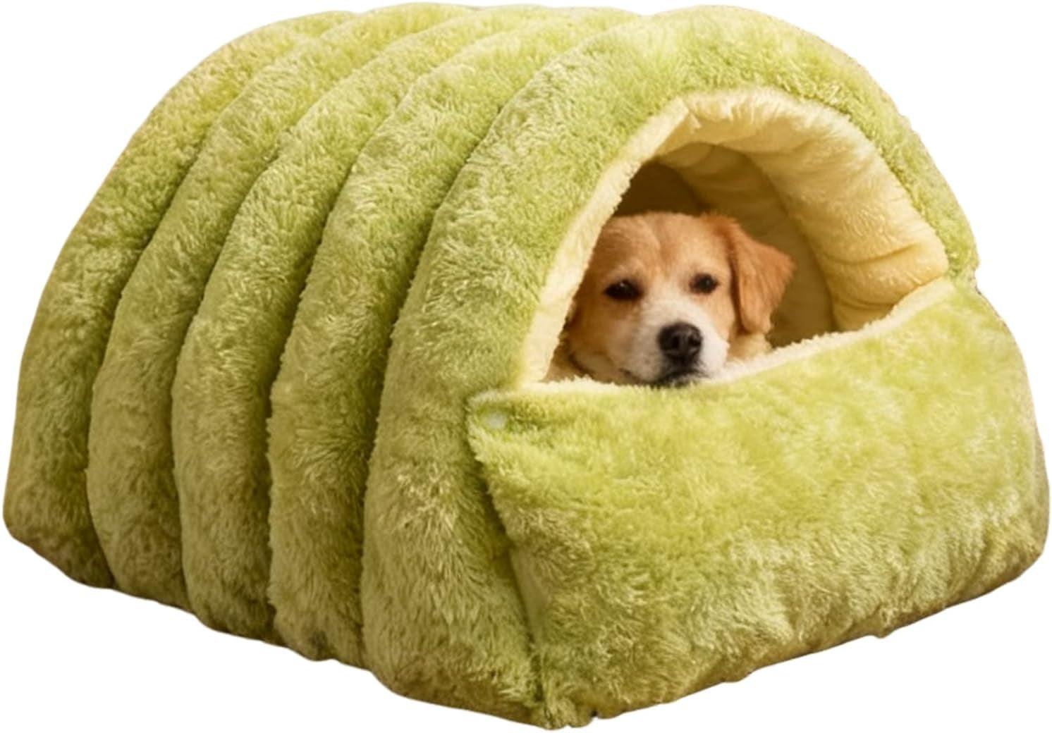 Coperte e Arredi, Animali Domestici, Grotte e Casette, Gatti, Letti per gatti, Gatti - Letti, materassi