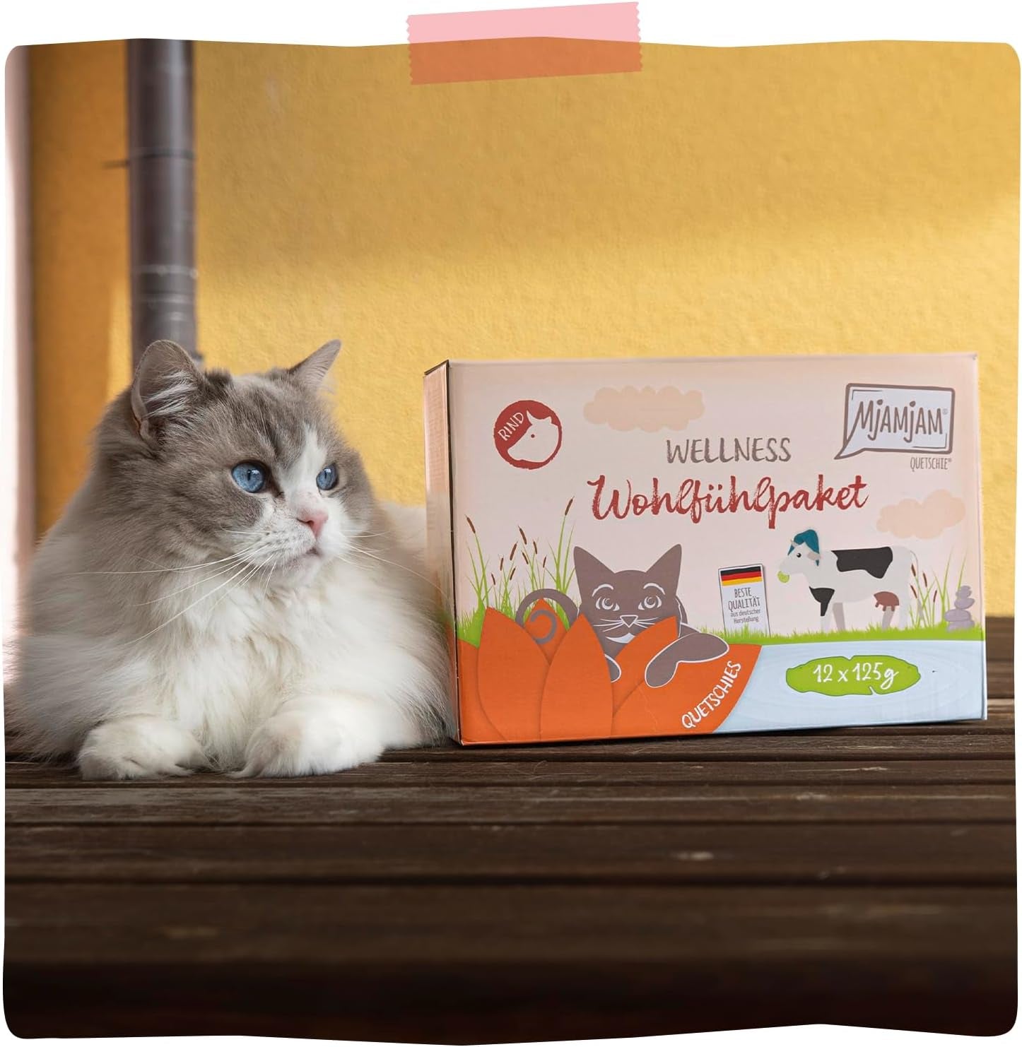 MjAMjAM - Cibo umido premium per gatti - Pacchetto benessere Manzo, confezione da 12 (12 x 125 g), senza cereali con carne extra