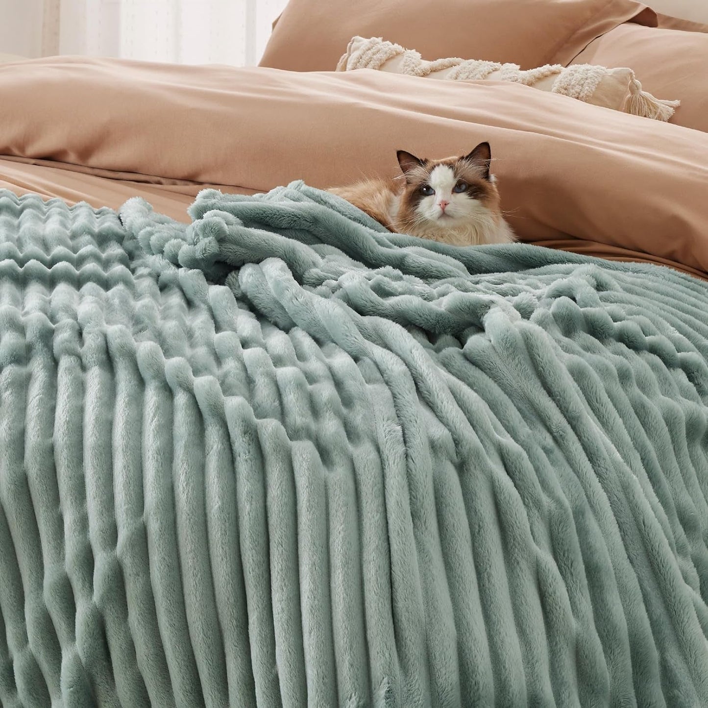 BEDSURE Coperta in pile verde salvia per divano - Coperte super morbide e accoglienti per donne, piccola coperta carina per ragazze, letti e coperte 127 x 152 cm Beuche den BEDSURE-Store