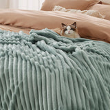BEDSURE Coperta in pile verde salvia per divano - Coperte super morbide e accoglienti per donne, piccola coperta carina per ragazze, letti e coperte 127 x 152 cm Beuche den BEDSURE-Store