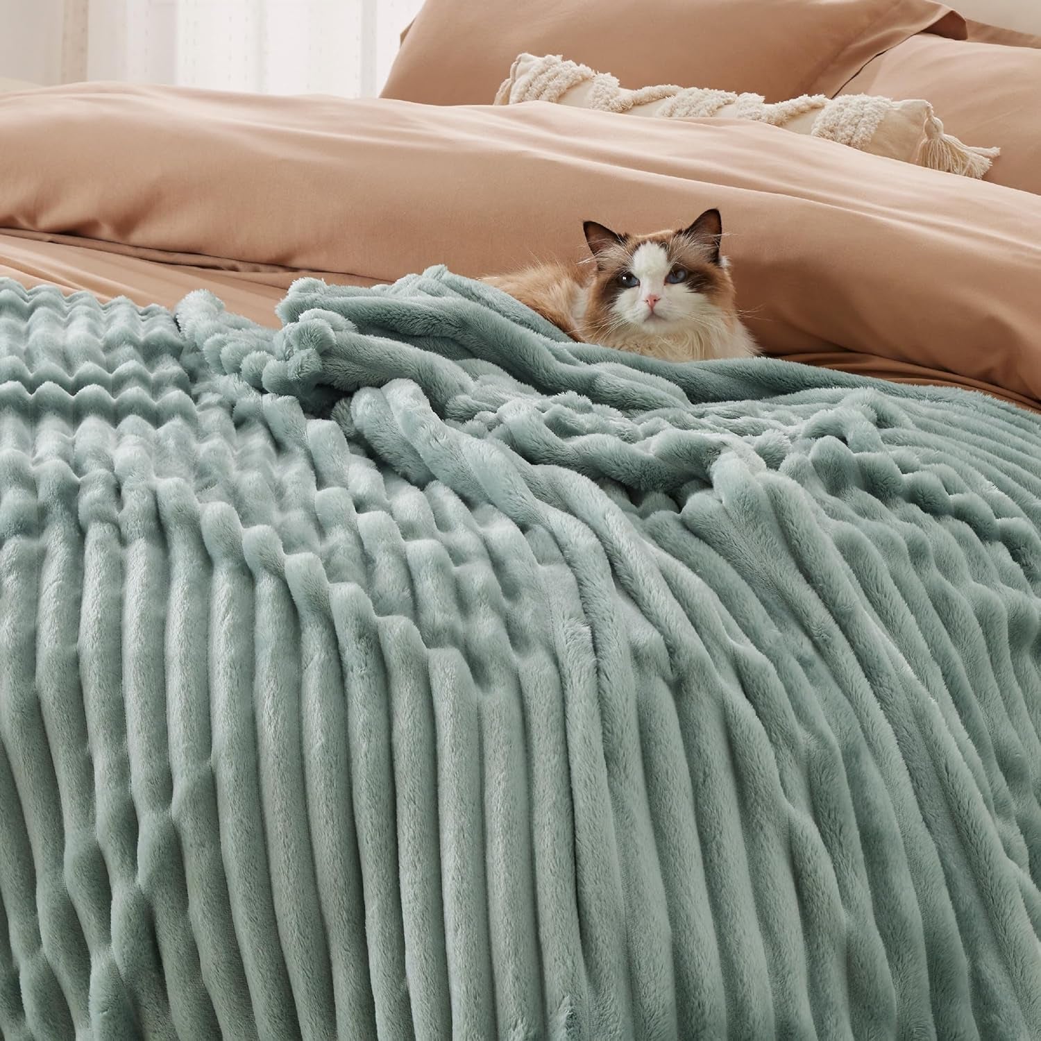 BEDSURE Coperta in pile verde salvia per divano - Coperte super morbide e accoglienti per donne, piccola coperta carina per ragazze, letti e coperte 127 x 152 cm Beuche den BEDSURE-Store