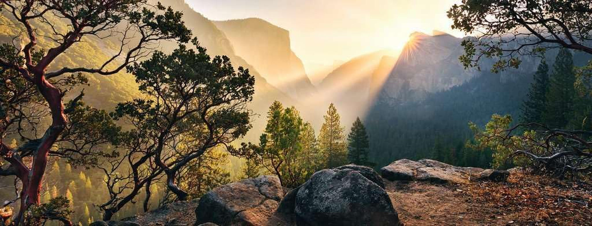 Ravensburger Puzzle 15083 - Parco Yosemite - Puzzle da 1000 pezzi per adulti e bambini dai 14 anni in formato panoramico Puzzle Naty Shop