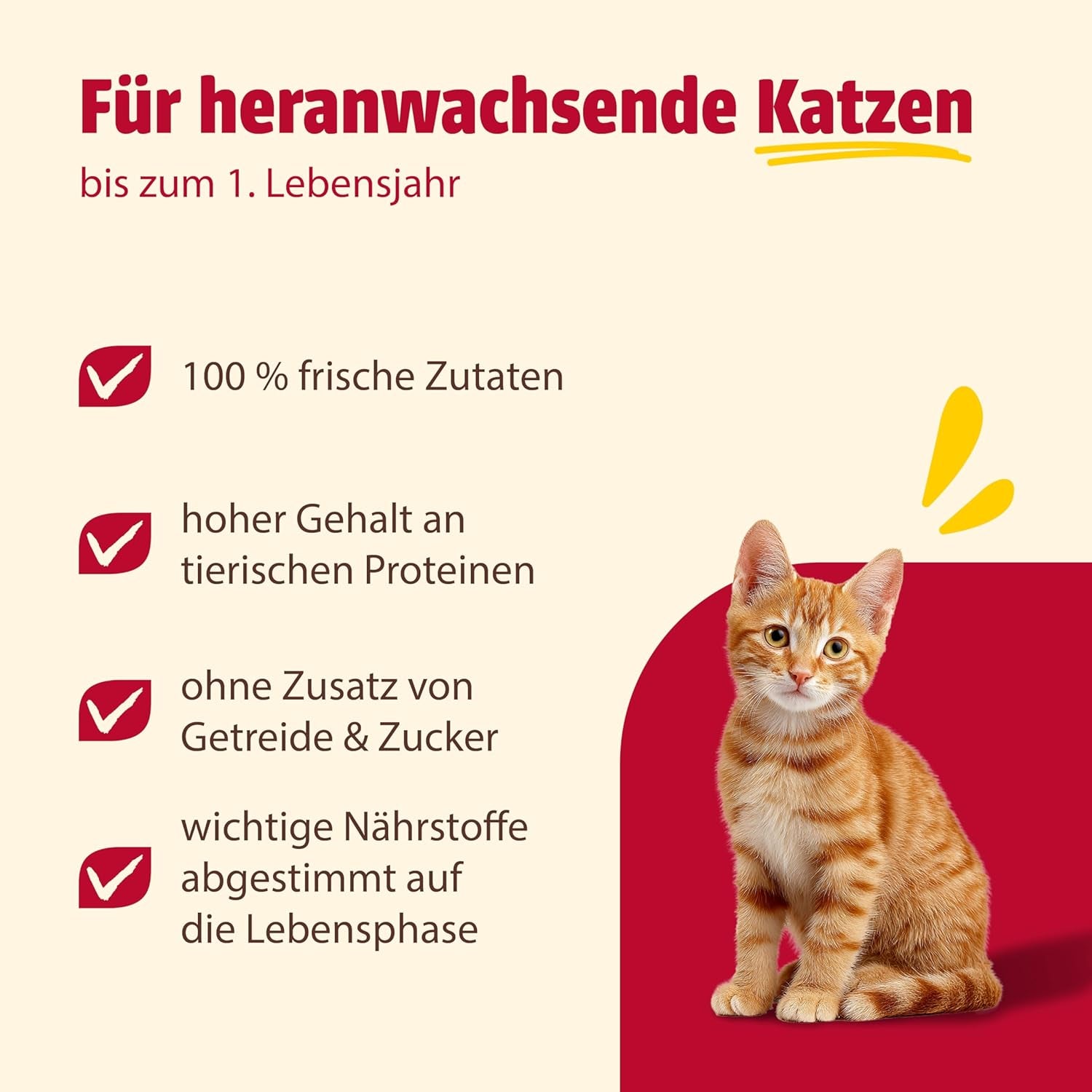 animonda Carny Katzen Nassfutter Kitten Chicken + Pute (12 x 400g), Kitten getreidefreies Katzennassfutter ohne Zucker für wachsende Kätzchen bis 1 Jahr, mit frischen Ingredient