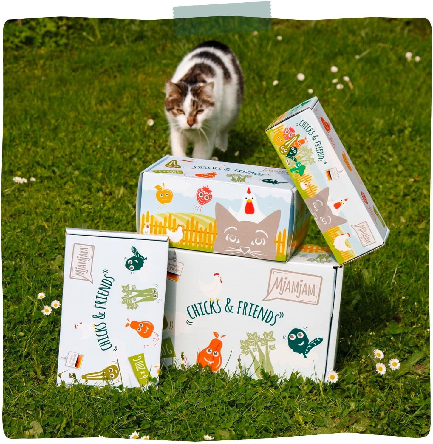 MjAMjAM - Premium Nassfutter für Katzen - Chicks & Friends Box, confezione da 9 (9 x 300 g), getreidefrei mit extra Fleisch