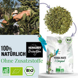 ORIGEENS BIO YERBA MATE TEA 1 KG - L'Originale I Non tostato, foglie, senza gambi, polvere e briciole I Bevanda energizzante e disintossicante