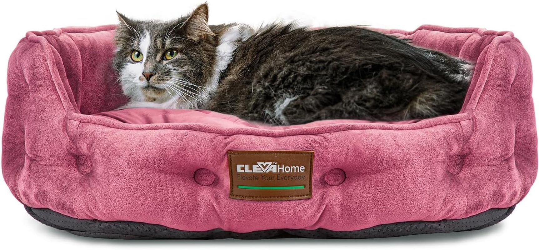 Letti e Divani, Coperte e Arredi, Animali Domestici, Gatti, Letti per gatti, Gatti - Letti, materassi