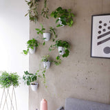 Vasi da parete autoirriganti Virgo (set da 6) - Facili da annaffiare e installare - Leggeri - Crea il tuo giardino verticale - Vasi da parete per piante da interno