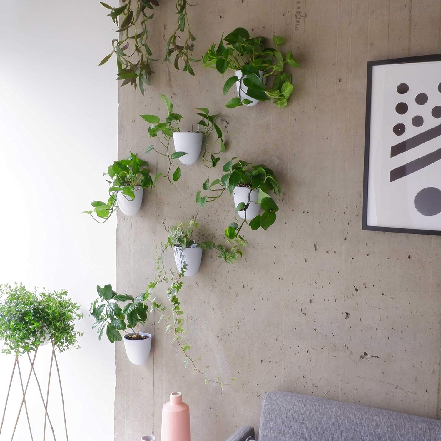 Vasi da parete autoirriganti Virgo (set da 6) - Facili da annaffiare e installare - Leggeri - Crea il tuo giardino verticale - Vasi da parete per piante da interno