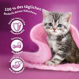 WHISKAS Junior Bustine di Alimenti Umidi, Confezione Multipla, Selezione di Carne di Pollame in Gelatina, 12 x 85g