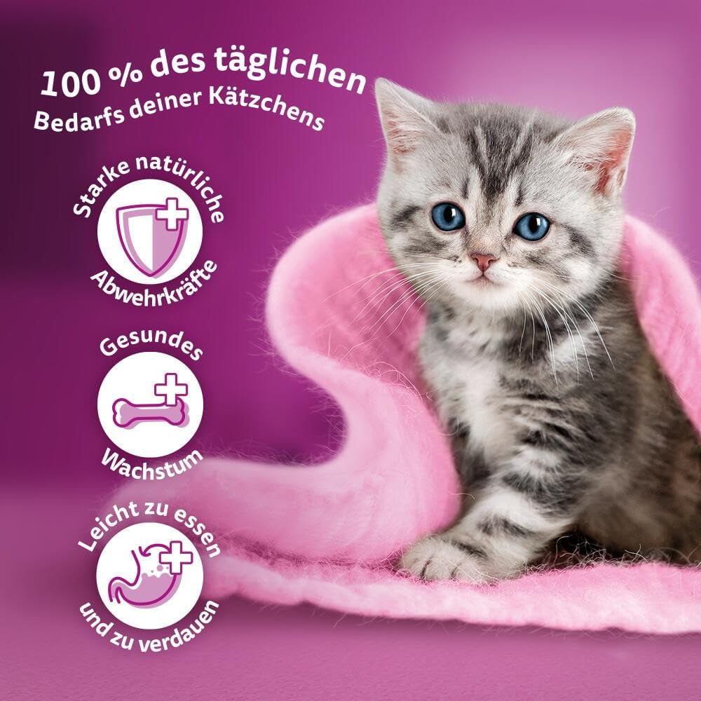 WHISKAS Junior Bustine di Alimenti Umidi, Confezione Multipla, Selezione di Carne di Pollame in Gelatina, 12 x 85g