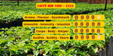 Caffè New York - XXXX - Caffè in grani interi - 1000g