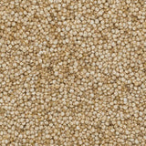 Grani di quinoa biologica Wholefood Earth – 2kg | Crudele | Non OGM | Vegano | Ricco di fibre | Certificato biologico