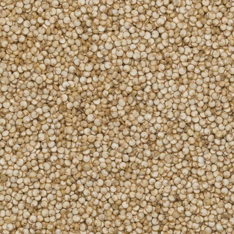 Grani di quinoa biologica Wholefood Earth – 2kg | Crudele | Non OGM | Vegano | Ricco di fibre | Certificato biologico