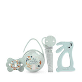 Set regalo Suavinex per neonati. Set 4 pezzi composto da: Succhietto fisiologico SX Pro per neonati 0-6 mesi + portaciuccio + copriciuccio Duo + anello dentizione in silicone. Paese delle meraviglie, beige