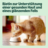 Amazon Mixed Selection Alimento umido per gatti giovani in gelatina da 1,2 kg (12 buste da 100 g)