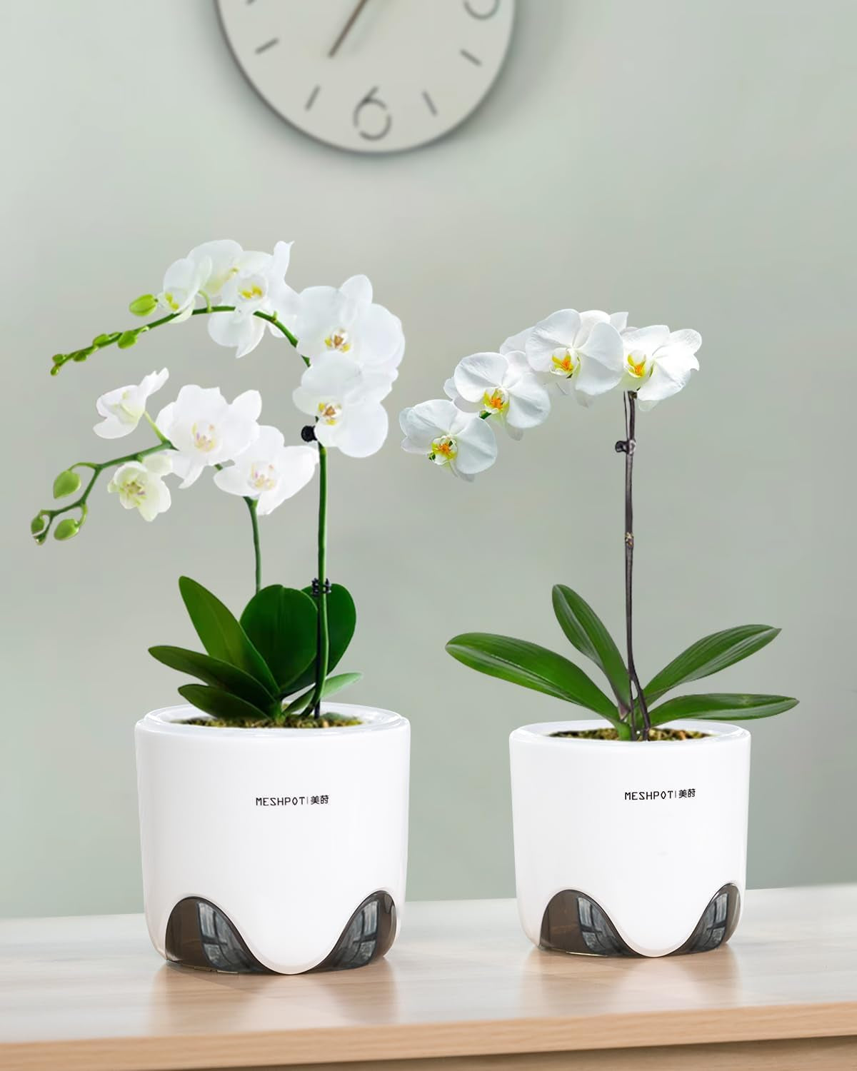 Vaso da fiori per orchidee con fori di drenaggio per trapianto, eccellente circolazione dell'aria, 2 pezzi, plastica a doppio strato, fioriera per orchidee in ceramica, vaso da fiori per orchidee trasparente, decorativo