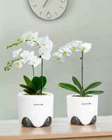 Vaso da fiori per orchidee con fori di drenaggio per trapianto, eccellente circolazione dell'aria, 2 pezzi, plastica a doppio strato, fioriera per orchidee in ceramica, vaso da fiori per orchidee trasparente, decorativo