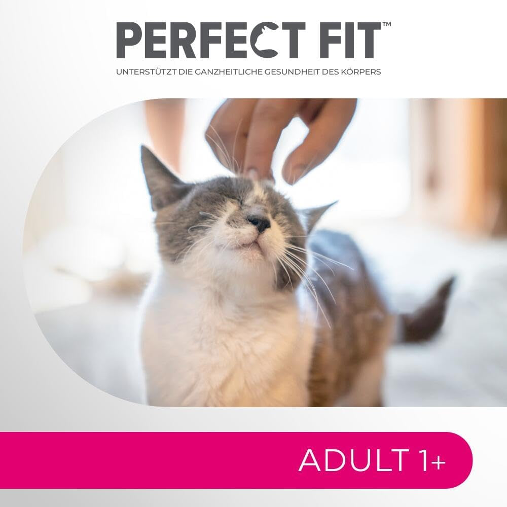 Selezione di cibo umido Perfect Fit Adult 1+ con salmone, pesce di acque profonde, manzo e pollo, 48 bustine, 12x85 g (confezione da 4) - Cibo umido premium per gatti adulti a partire da 1 anno di età
