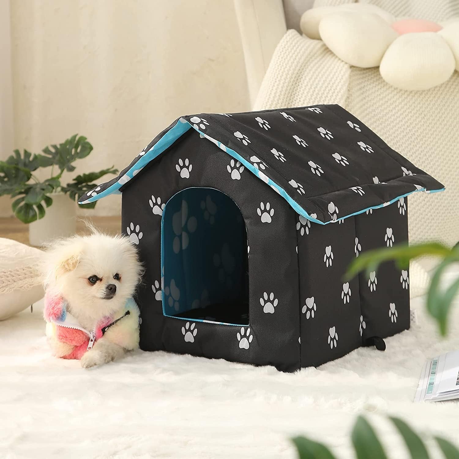 Coperte e Arredi, Animali Domestici, Grotte e Casette, Gatti, Letti per gatti, Gatti - Letti, materassi