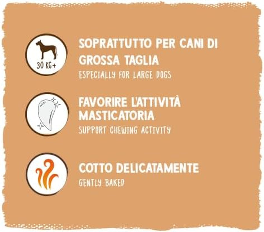Monete di muesli di Sammy | Snack croccanti al forno per cani | 5 monete di muesli ai cereali per il tuo grande amico peloso (30 kg+) | 1 chilogrammo