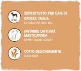 Monete di muesli di Sammy | Snack croccanti al forno per cani | 5 monete di muesli ai cereali per il tuo grande amico peloso (30 kg+) | 1 chilogrammo