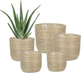 Scheurich Seagrass 17, vaso/cestino in alghe marine, colore: bianco, diametro 17 cm, altezza 16 cm, volume 3,5 l.