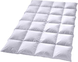 Piumino Billerbeck Martina® - Piumino 135 X 200 Cm - Piumino per tutte le stagioni - Adatto per chi soffre di allergie - 90% piumino d'oca, 10% piume d'oca - Bianco Piumini e trapunte Naty Shop