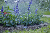 Cavo di prolunga Gardena (10 m) per sensore pioggia e sensore umidità del suolo, cavo di collegamento con sistema Easy Click, estensibile fino a 105 m, per uso sopra e sotto terra (01868-20)