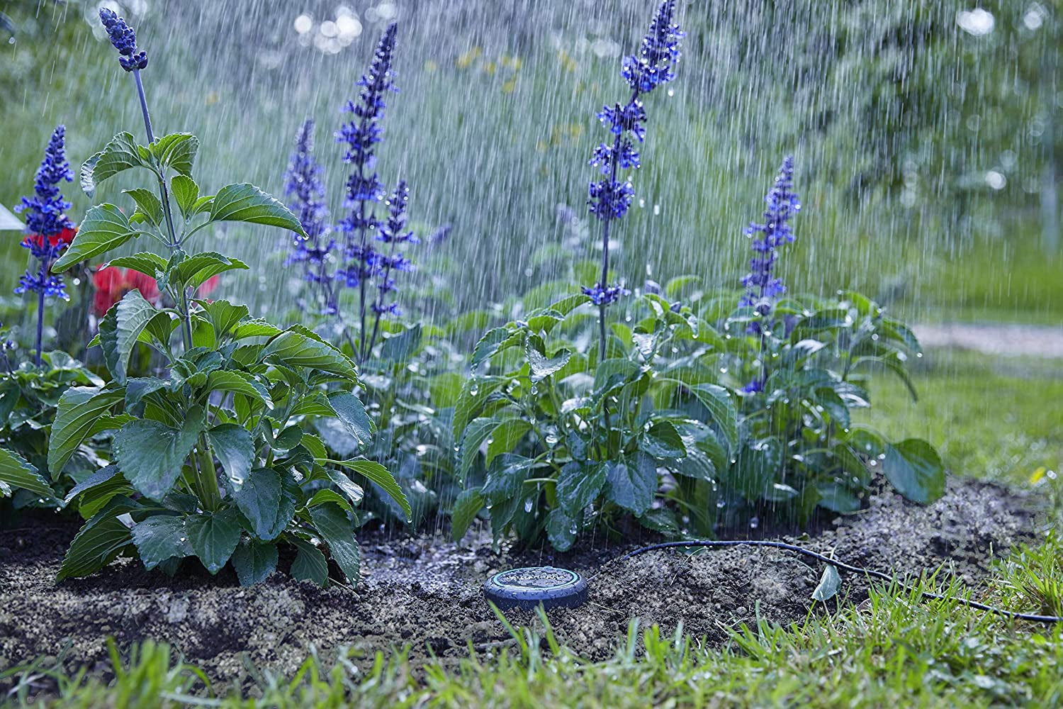 Cavo di prolunga Gardena (10 m) per sensore pioggia e sensore umidità del suolo, cavo di collegamento con sistema Easy Click, estensibile fino a 105 m, per uso sopra e sotto terra (01868-20)