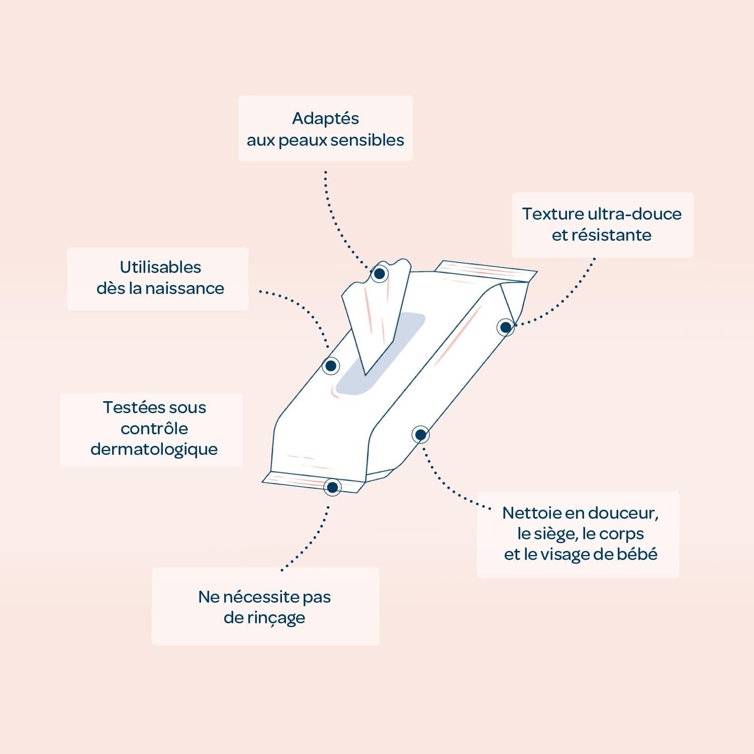 BIOLANE - Confezione da 12 - Salviette umidificate baby con latte da toilette - Neonati - 864 Salviette umidificate baby - Deterge e idrata - Per pelli sensibili - 98% origine naturale - Dalla nascita