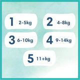 Pannolini Pampers per bambini, taglia 2 (4-8 kg), Harmony, scatola Half Moon, protezione delicata per la pelle e ingredienti a base di erbe, 240 pezzi