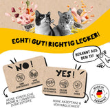 Dogs'n Tiger Schlemmermenü Glückskind, Nassfutter für Kätzchen, saftiges Hun und Forelle - ohne Getreide, Zuckerzusatz, künstliche Konservierungsstoffe, optimizatione Verträglichkeit, 12x 200g
