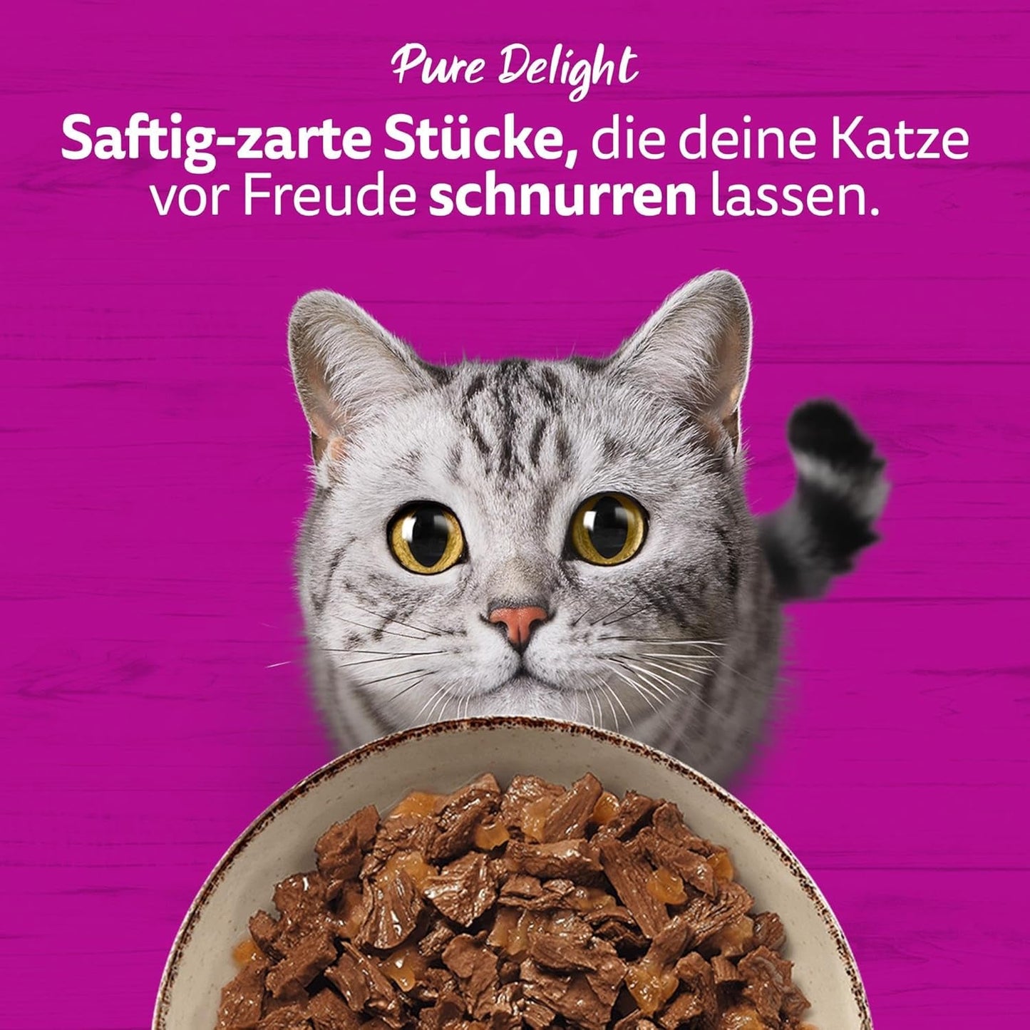 WHISKAS PURE DELIGHT Alimento umido in gelatina 24 x 85g Ragù Classico (4 confezioni) 48 buste porzionate
