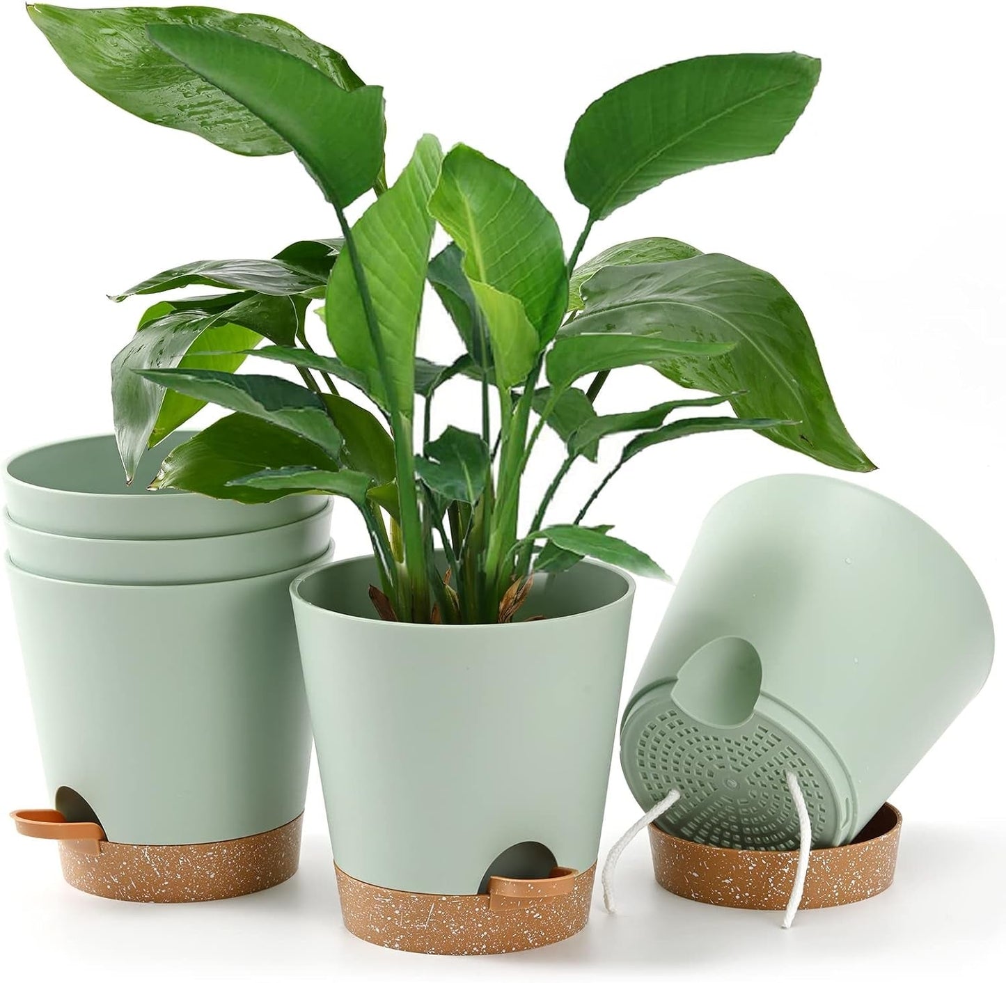 Vaso da fiori 6 pezzi 12,7 cm Fioriera autoirrigante Vaso da fiori per interni ed esterni ad alto drenaggio con vassoio per serbatoio e bordo per irrigazione Fioriera da giardino