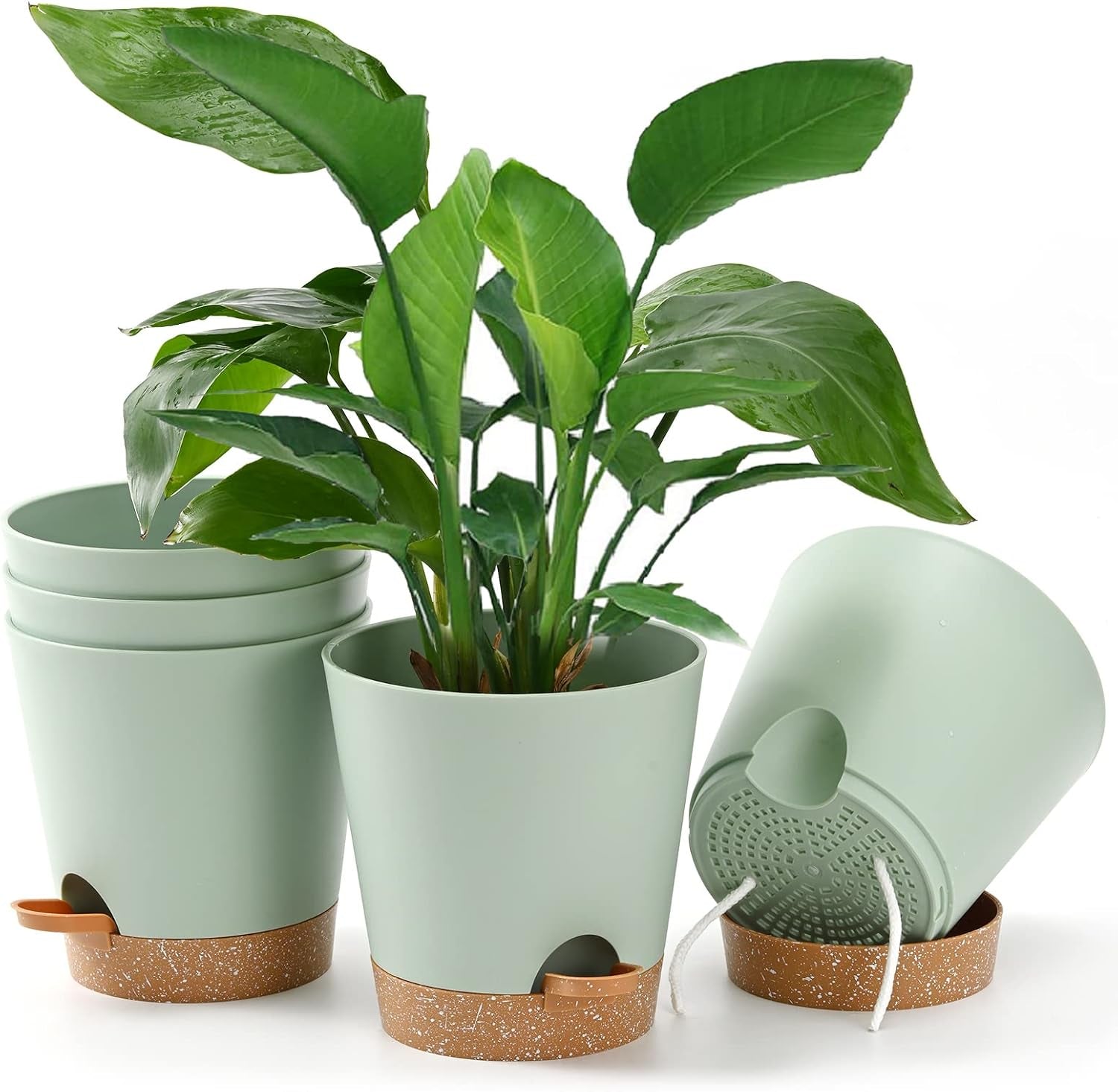 Vaso da fiori 6 pezzi 12,7 cm Fioriera autoirrigante Vaso da fiori per interni ed esterni ad alto drenaggio con vassoio per serbatoio e bordo per irrigazione Fioriera da giardino