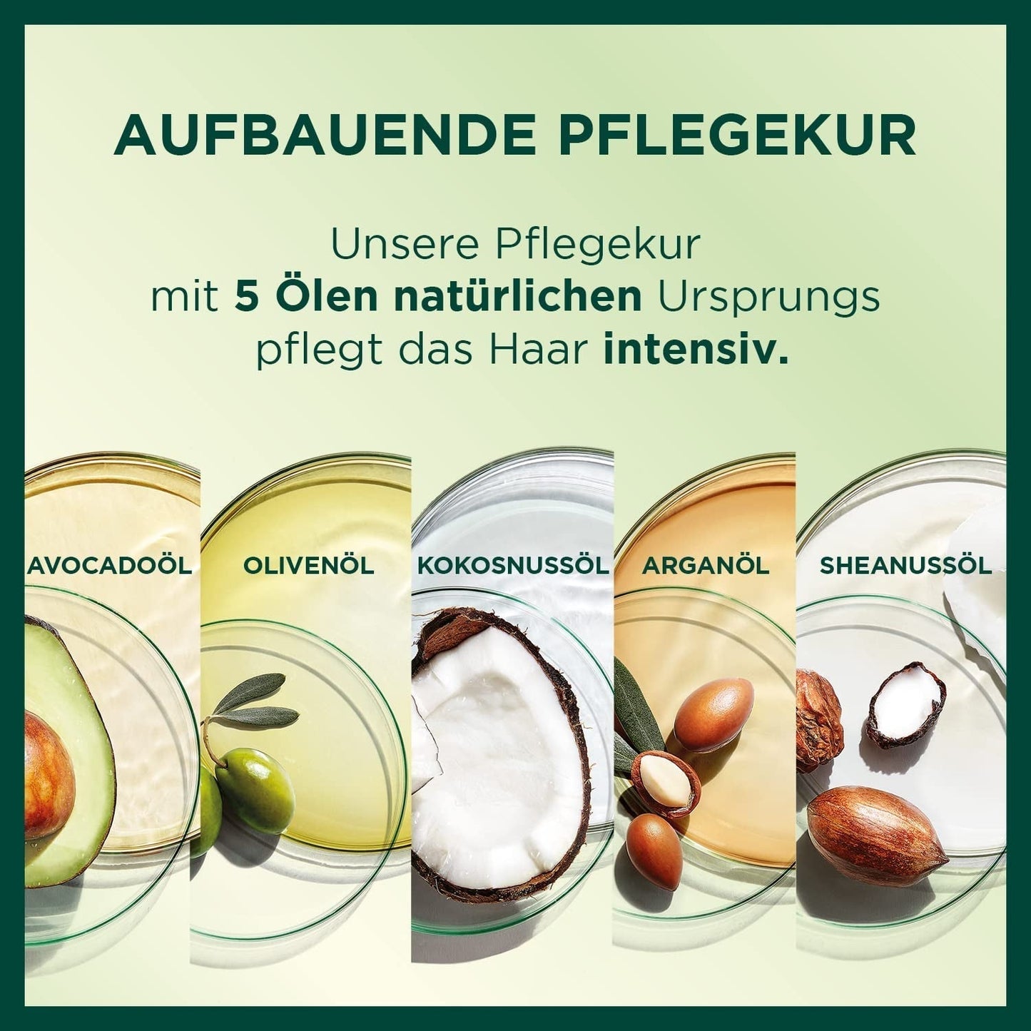 Garnier Nutrisse Tintura Per Capelli Permanente Con Oli Di Frutta Nutrienti, Tenuta Per 8 Settimane, Tinta Ultra Crème 053 Marrone Vellutato (Confezione Da 3) Naty Shop Tintura Per Capelli