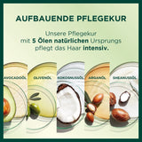 Garnier Nutrisse Tintura Per Capelli Permanente Con Oli Di Frutta Nutrienti, Tenuta Per 8 Settimane, Tinta Ultra Crème 053 Marrone Vellutato (Confezione Da 3) Naty Shop Tintura Per Capelli