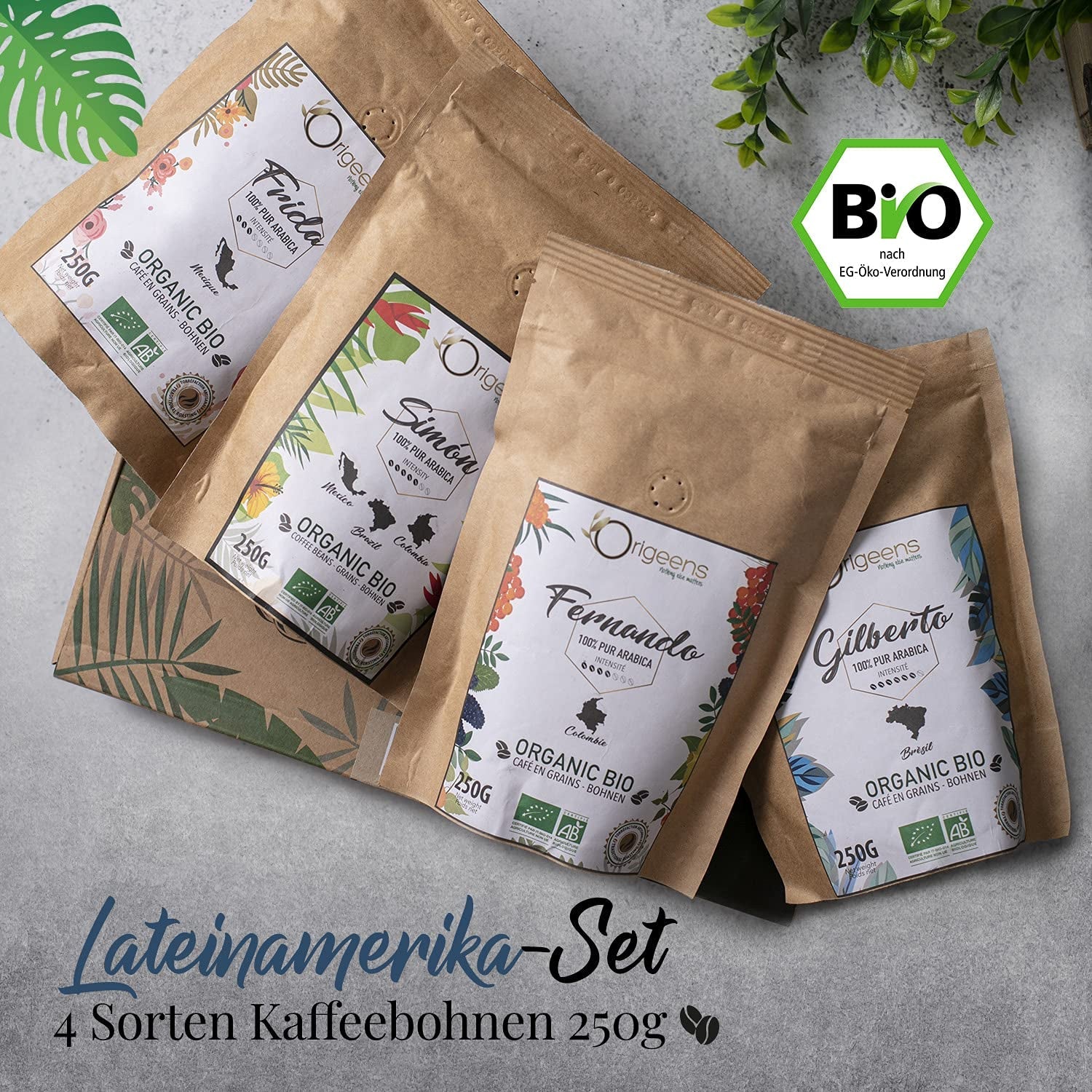 ORIGEENS Bio Kaffeebohnen Probierset 1kg | Premium Bio Arabica Kaffee Ganze Bohnen Set 4x250g | Röstung tradizionale | Kaffee Geschenkset