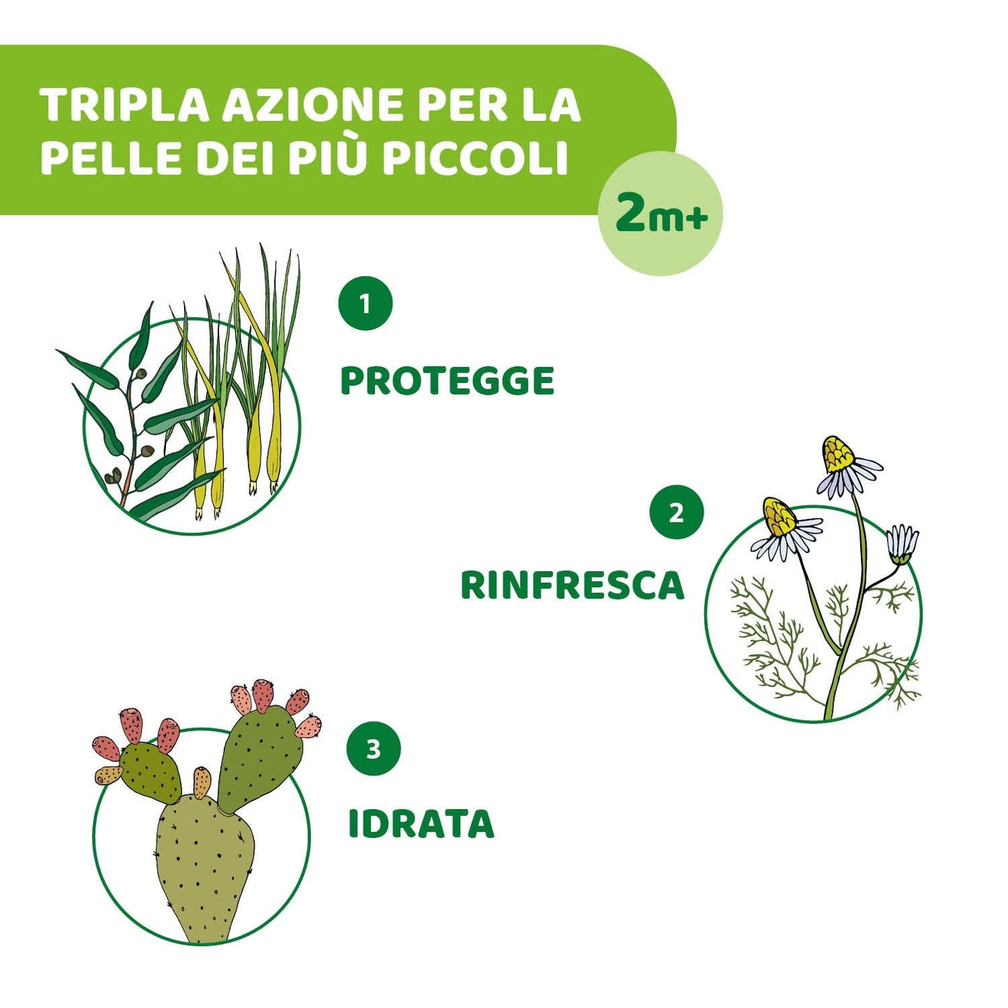 Salviettine umidificate protettive Chicco NaturalZ, confezione da 20. Protezione estiva naturale con citronella ed eucalipto, protezione giorno e notte.