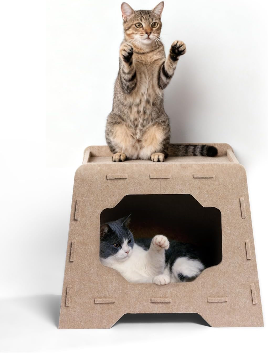 Coperte e Arredi, Animali Domestici, Grotte e Casette, Gatti, Letti per gatti, Gatti - Letti, materassi