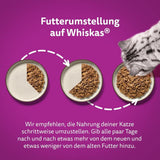 Whiskas 1+ cibo umido per gatti con pollo in gelatina, 28x85g (1 confezione) - Cibo umido di alta qualità per gatti adulti in bustine da 28 porzioni