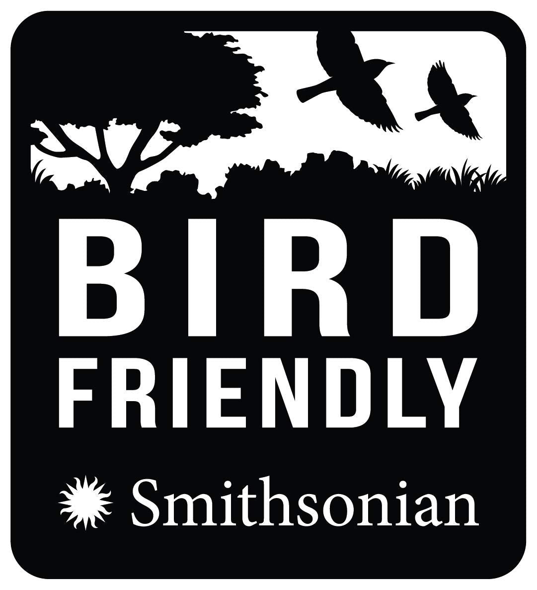 Miscela di caffè espresso in grani 1 kg Tostatura media Chicchi interi Fairtrade Organic Shade Grown Bird Friendly 1 kg Peso netto